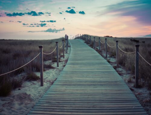 Kurse im Bereich SensitivitÃ¤t, MedialitÃ¤t, Healing und PersÃ¶nlichkeitsentwicklung